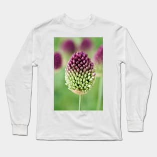 Allium sphaerocephalon AGM Round-headed garlic Round-headed leek Long Sleeve T-Shirt